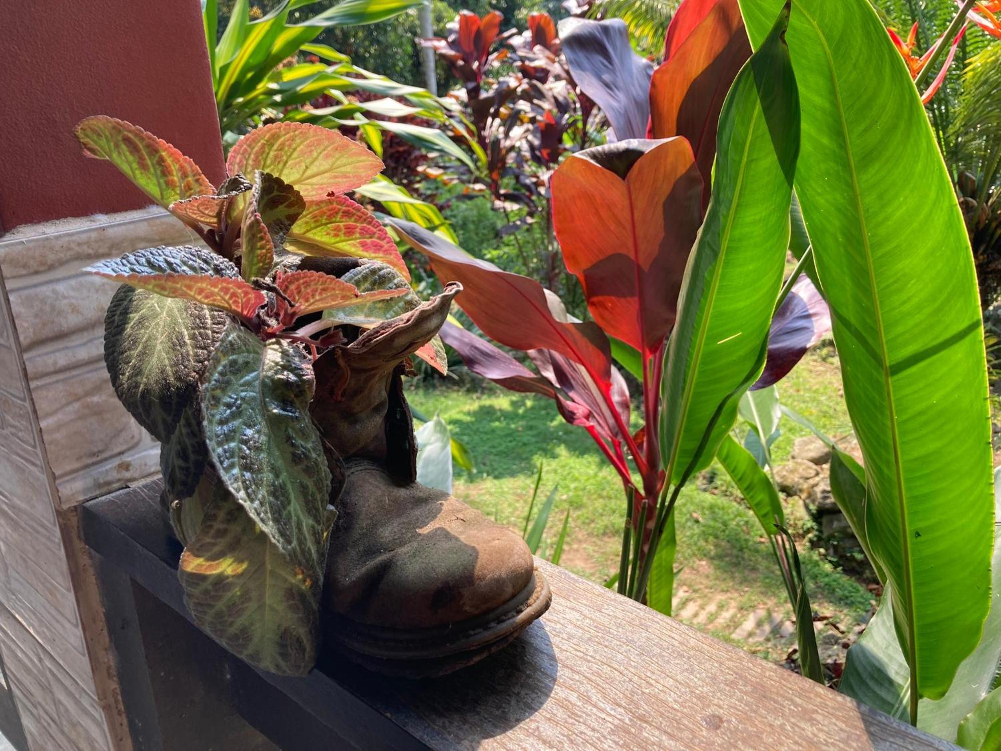 Casa Arariba - Ilha Grande - Иля Гранде Екстериор снимка