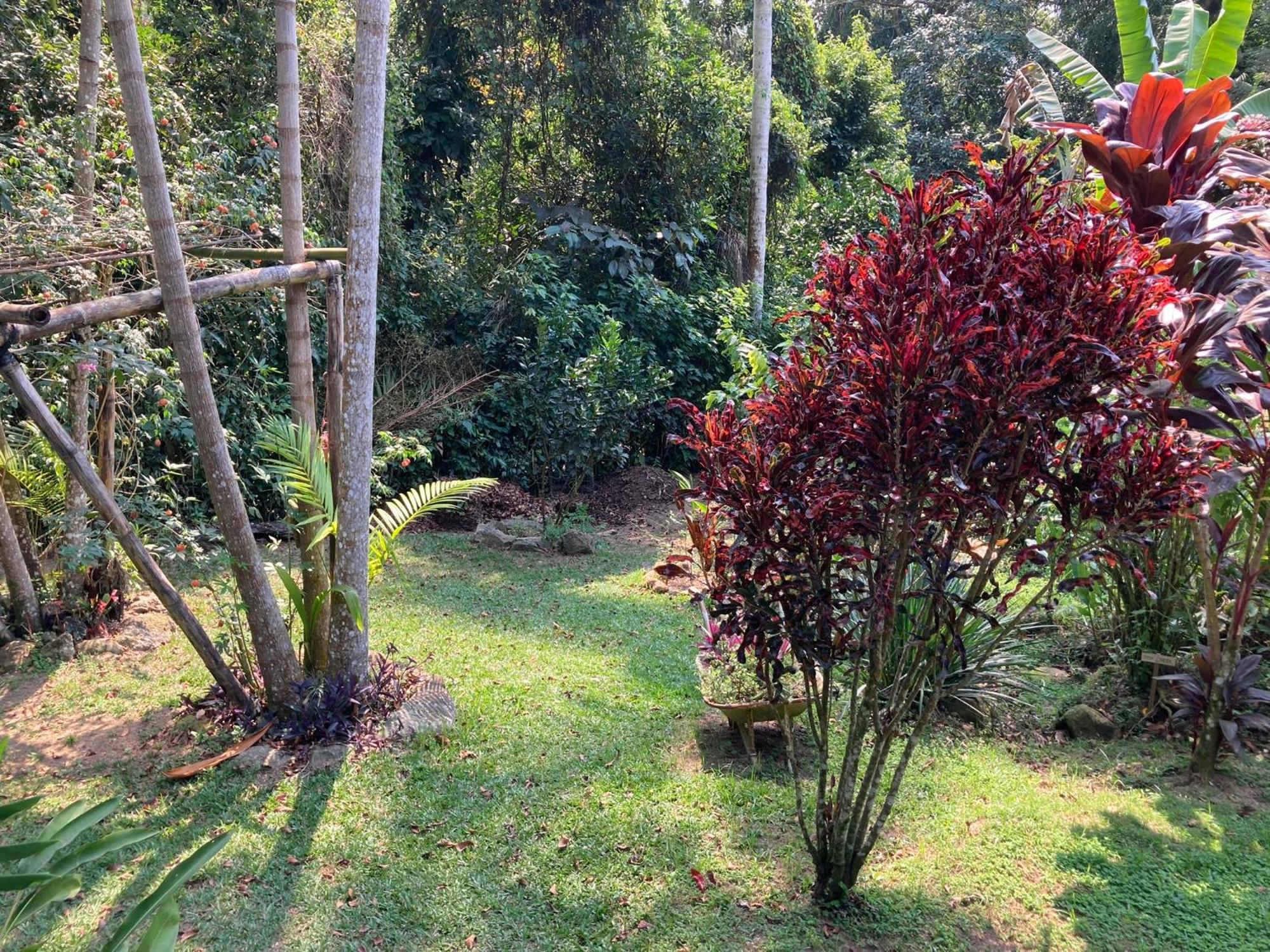 Casa Arariba - Ilha Grande - Иля Гранде Екстериор снимка