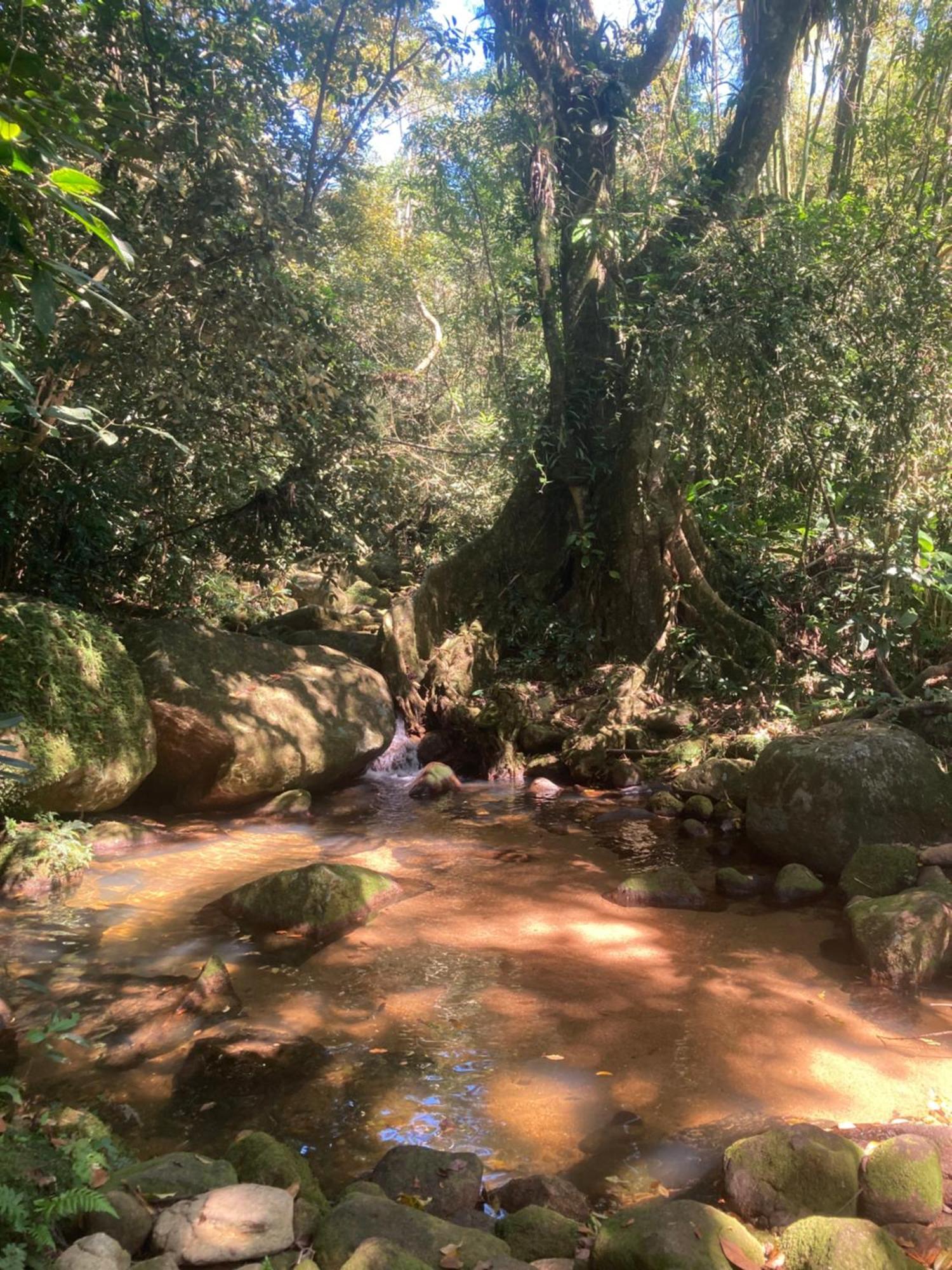Casa Arariba - Ilha Grande - Иля Гранде Екстериор снимка